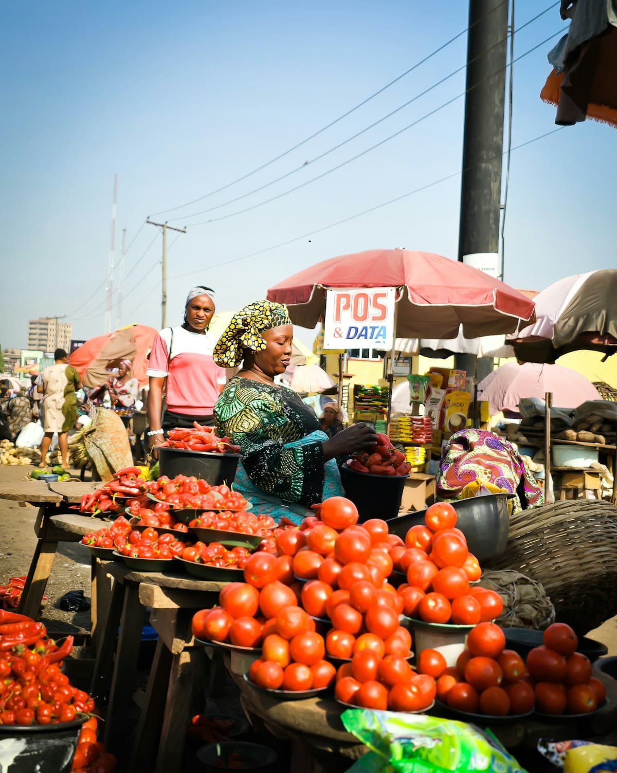 A trader arranging tomatoes and peppers at her stall in Bodija Market, Ibadan, with a POS and data kiosk behind her